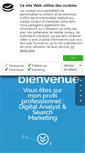 Mobile Screenshot of antoine-hervillard.com